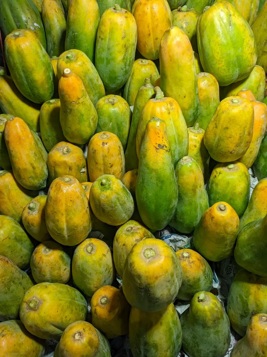 Papaya