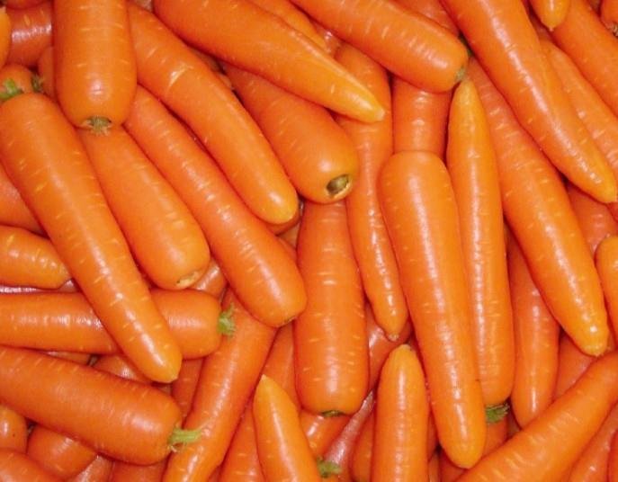 Carrots