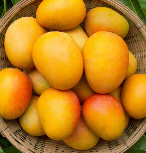 Fresh Mangoes
